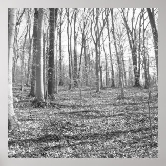 Ridley Creek State Park Poster