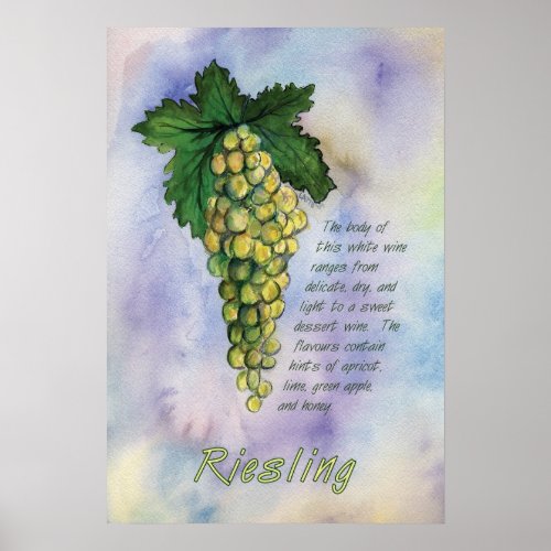 Riesling White Wine Grapes Art Print