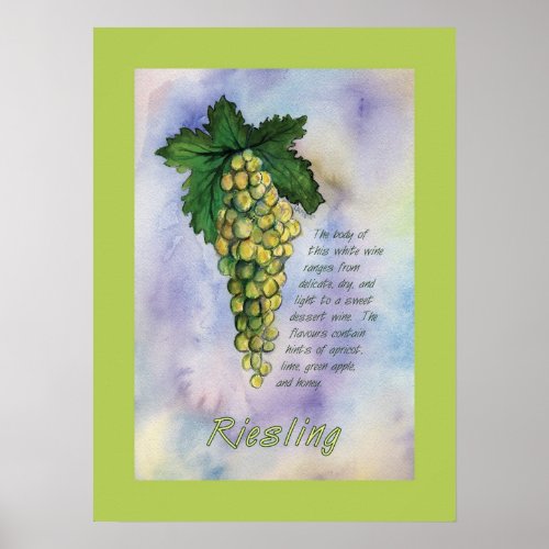 Riesling Wine Grapes Poster