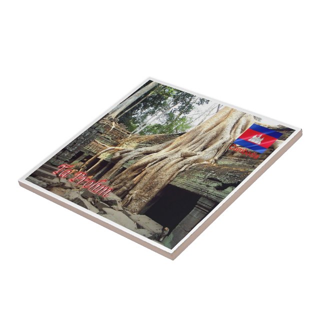 Rif. KH Cambodia, Ta Prohm, Ceramic Tile (Side)