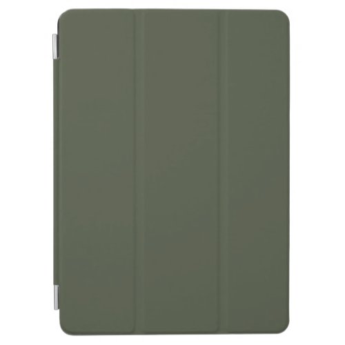 Rifle Green Solid Color iPad Air Cover
