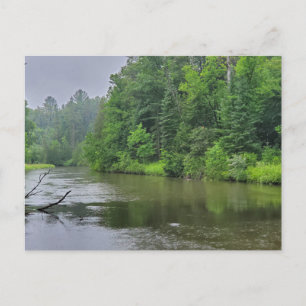 Rifle River, West Branch, Michigan Postcard