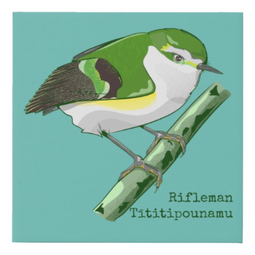 Rifleman tititiponamu NZ bird Faux Canvas Print