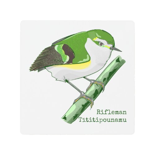 Rifleman tititiponamu NZ bird Metal Print