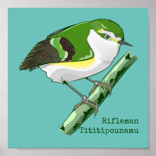 Rifleman tititiponamu NZ bird Poster