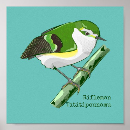 Rifleman tititiponamu NZ bird Poster
