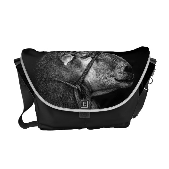 right following messenger bag