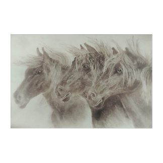 Right into the Wind Acrylic Print