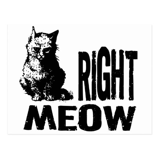 Right MEOW! Funny Evil Kitty Postcard | Zazzle