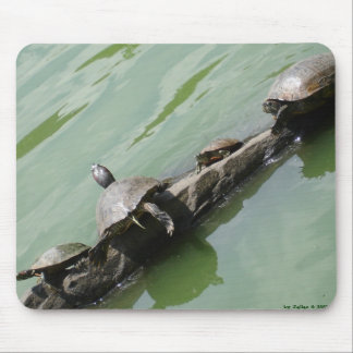 Right Tortoise Mousepad