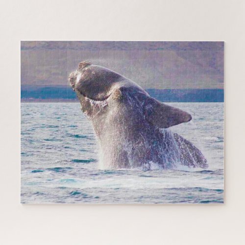 Right Whale Jigsaw Puzzle