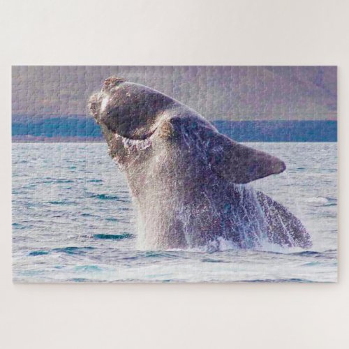 Right Whale Jigsaw Puzzle