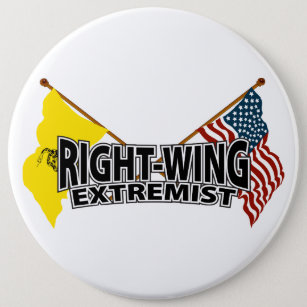 Right Wing Extremist Flags Pinback Button