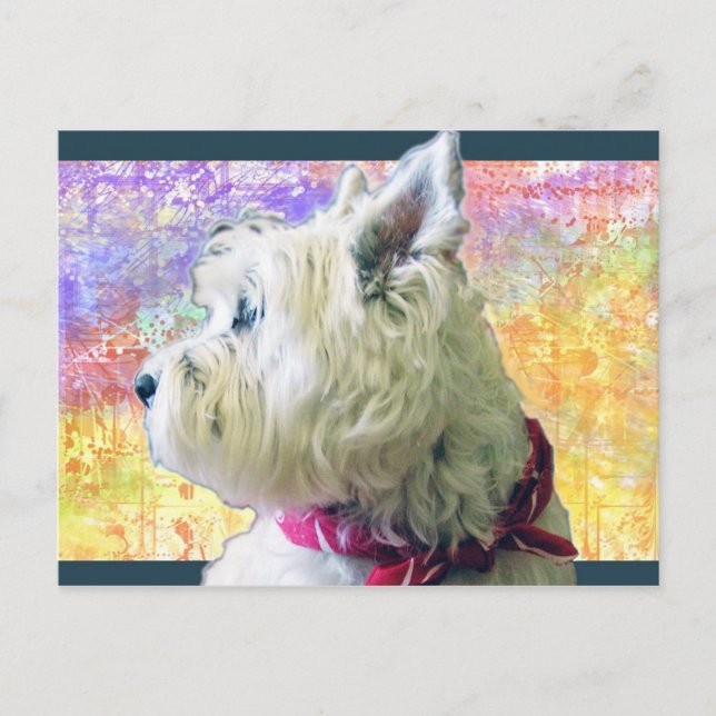 RILEY IN COLOR POSTCARD (Front)