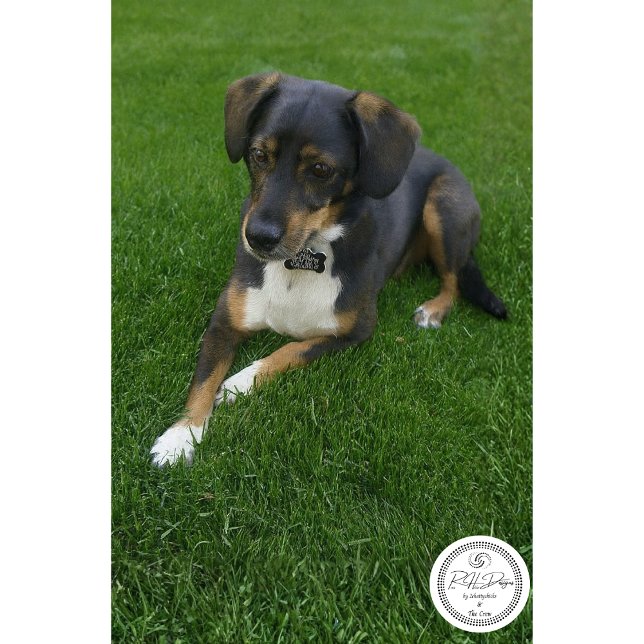 Riley Tissue Paper (Creator Uploaded)