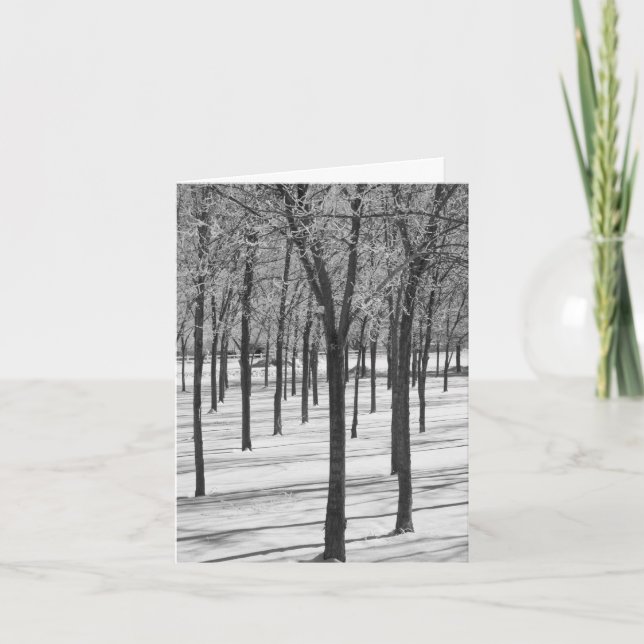 Rime in the Trees Winter Notecard (Front)