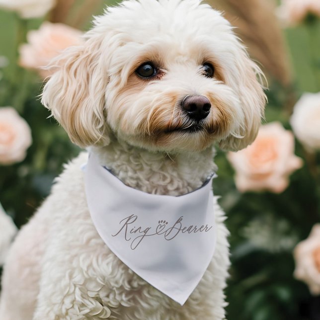Ring Bearer Script Heart Paw Print Pet Wedding Bandana Collar (Ring Bearer Script Heart Paw Print Pet Wedding Pet Bandana Collar)