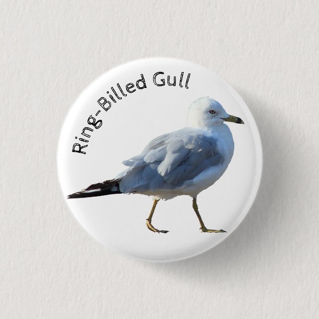 Ring-Billed Gull Button (Front)