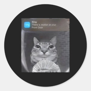 Ring Cat With Motion Meme Classic Round Sticker