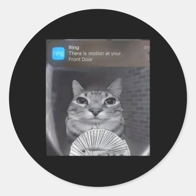 Ring Cat With Motion Meme  Classic Round Sticker (Front)