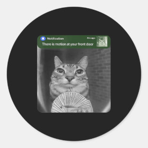 Ring Cat With Motion Meme  Classic Round Sticker