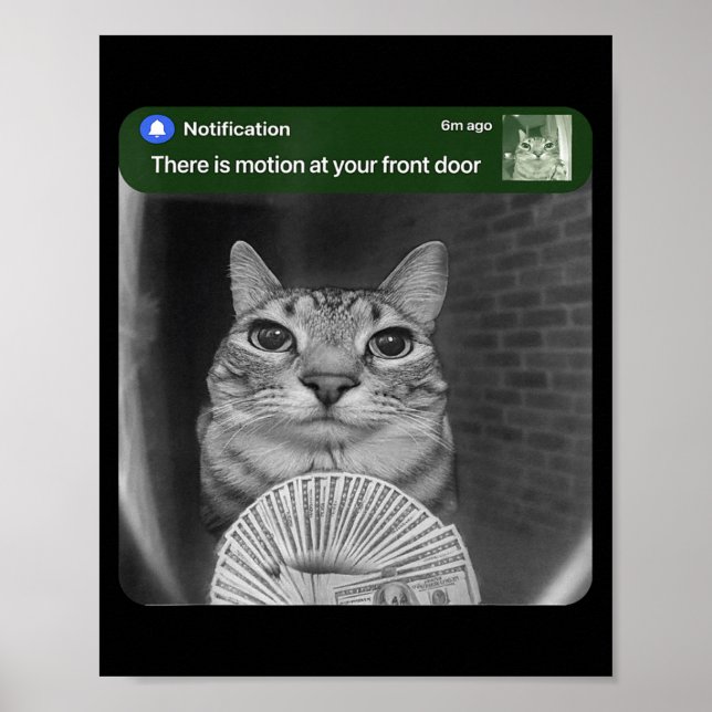 Ring Cat With Motion Meme  Poster (Front)