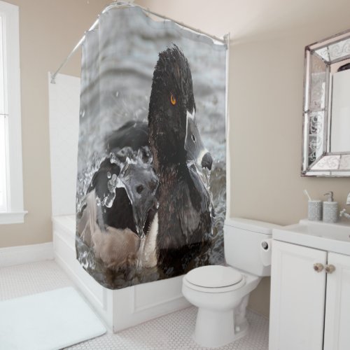 Ring_Neck duck splashing Shower Curtain