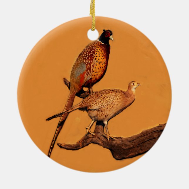 Ring-neck Pheasant Ceramic Ornament (Back)