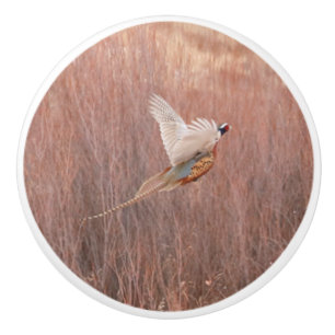 Ring-neck Pheasant Custom Ceramic Knob