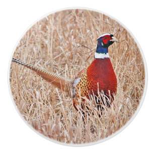 Ring-neck Pheasant Custom Ceramic Knob