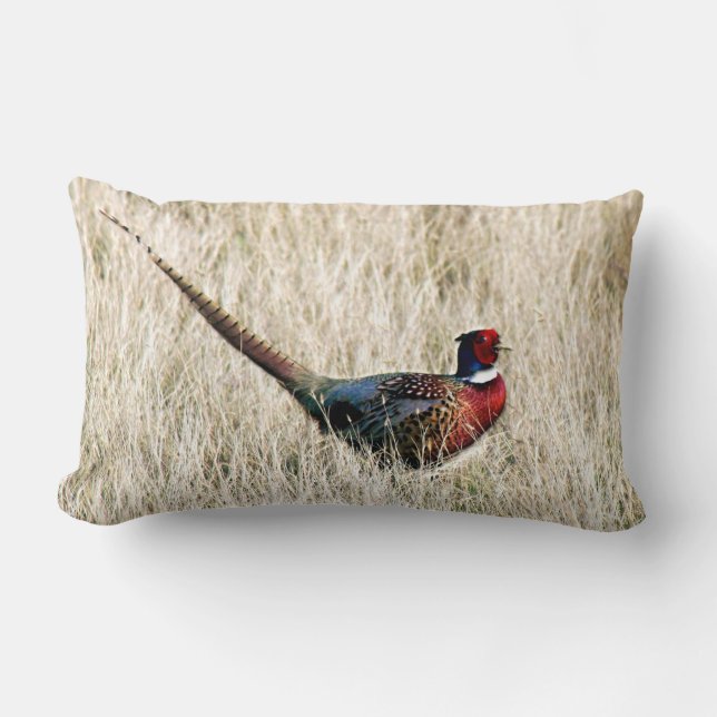 Ring Neck Pheasant in Meadow Lumbar Pillow (Front)