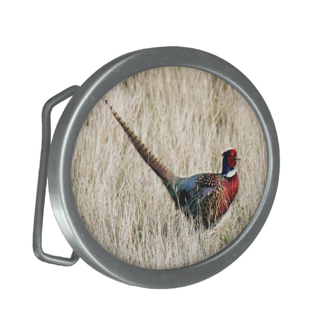 Ring Neck Pheasant in Meadow Oval Belt Buckle (Front Left)