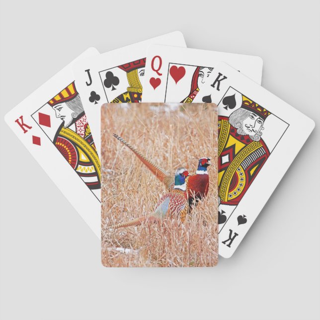 Ring Neck Pheasant Playing Cards (Back)