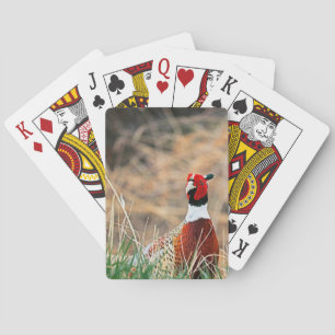 Ring Neck Pheasant Playing Cards