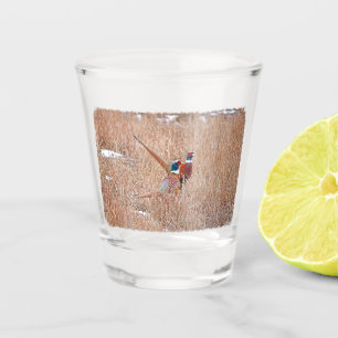 Ring-neck Pheasant Shot Glass