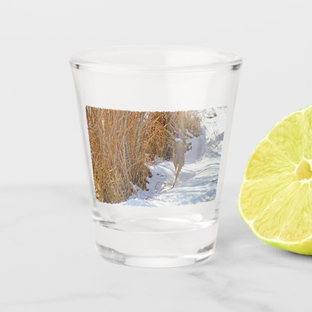 Ring-neck Pheasant Shot Glass (Front)