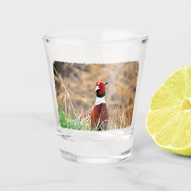 Ring-neck Pheasant Shot Glass (Front)