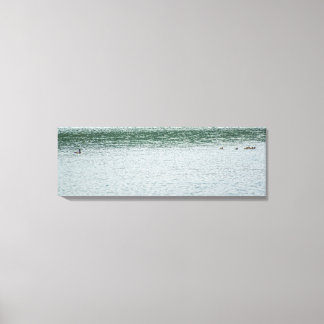 Ring-necked Duck Canvas Print