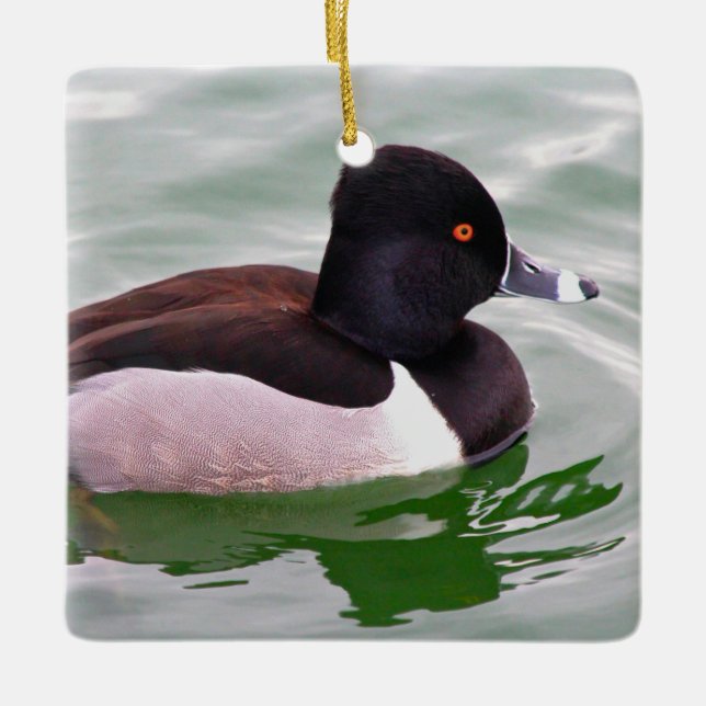 Ring Necked Duck Ceramic Ornament (Front)