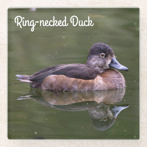 Ring_necked Duck Glass Coaster