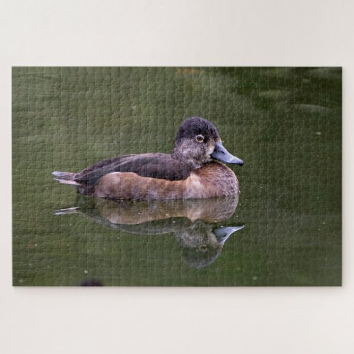 Ring_Necked Duck Jigsaw Puzzle