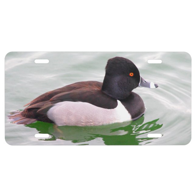 Ring Necked Duck License Plate (Front)