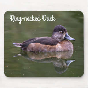 Ring-necked Duck Mouse Pad