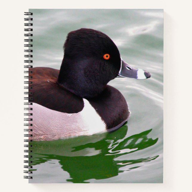 Ring Necked Duck Notebook (Front)