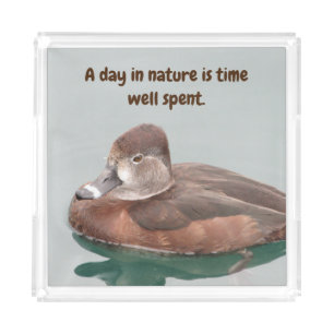 Ring-necked Duck Photo Beautiful Brown Female Bird Acrylic Tray