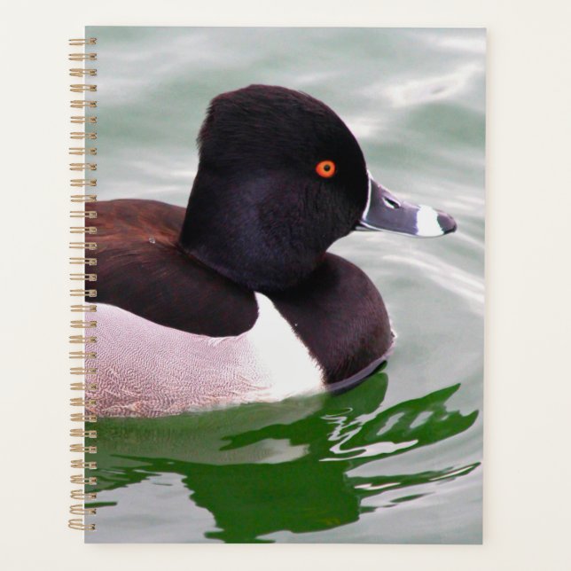 Ring Necked Duck Planner (Front)