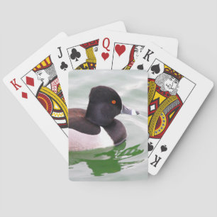 Ring Necked Duck Poker Cards