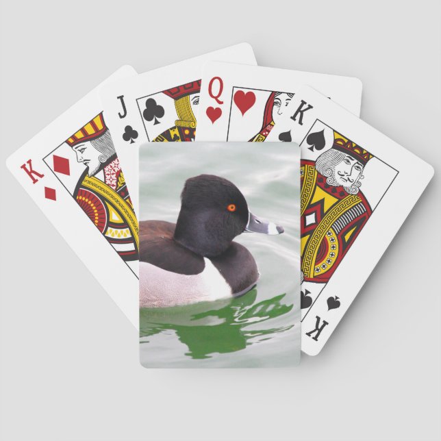 Ring Necked Duck Poker Cards (Back)