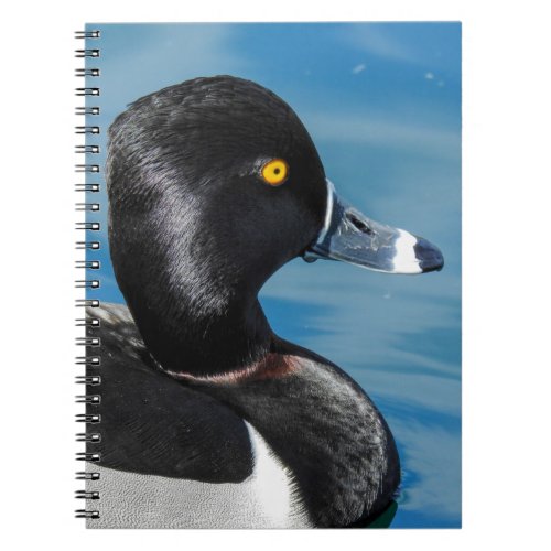 Ring Necked Duck Sprial Notebook