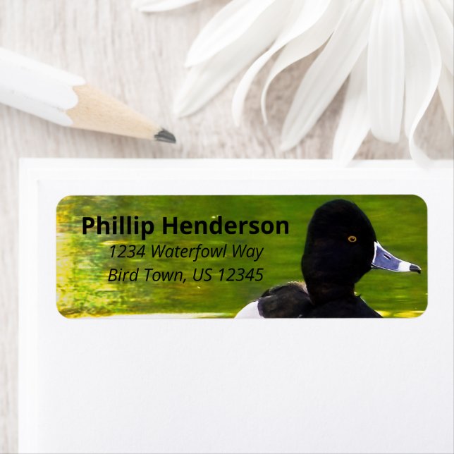 Ring-Necked Ducks Black & White Birds Green Water Label (Insitu)